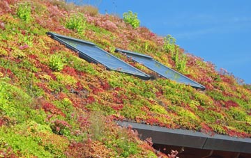 Swafield living roof systems